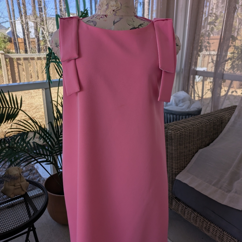 Pink Dress - Picture 11 of 13